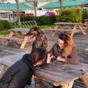 Meet your Posher, Joanie